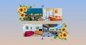 DesenzanoLoft Il girasole del Lago